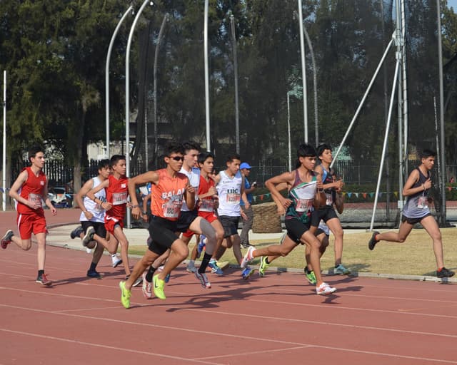 Fomento de una Comunidad Competitiva