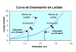 Plan de Entrenamiento